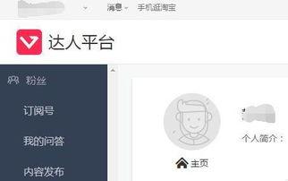 淘宝头条怎么搜索,揭秘爆款商品背后的秘密，打造你的购物攻略！
